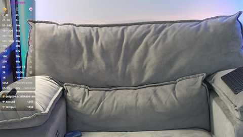 Media: A video of a grey, plush L-shaped couch with a plush, gray throw pillow, set against a light blue wall. The couch features soft, textured fabric and is slightly worn.