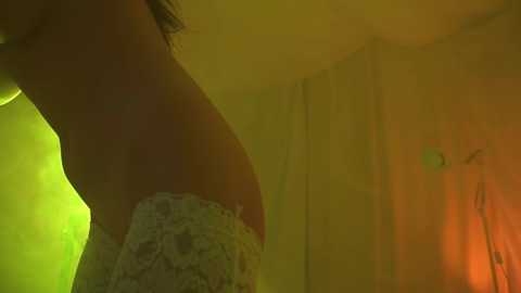 Media: Video of a partially visible, slender, fair-skinned woman with dark hair, wearing a floral lace bra, standing against a backdrop of glowing yellow-green light.