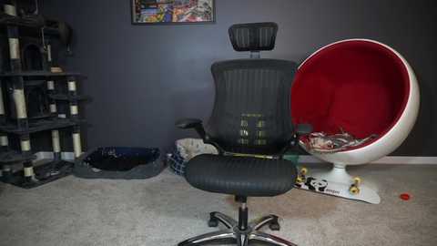 Media: Video of a cluttered room with a black mesh office chair, a red swivel chair, a black cat tower, a white beanbag, and various toys scattered on the floor.