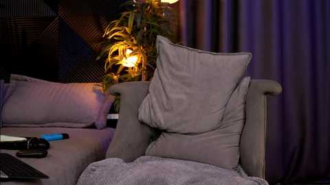 Media: Video of a cozy, dimly lit bedroom with a plush gray armchair, gray pillows, and a soft, gray blanket. A potted plant and a lamp with warm light add ambiance.