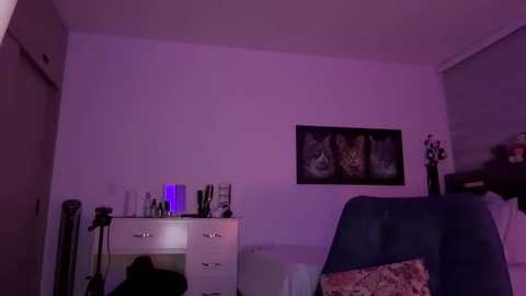 Media: Video of a dimly lit bedroom with purple lighting, featuring a white dresser, framed cat artwork, a blue chair, and a partially visible bed with floral pillows.