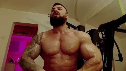 Media: Video of a muscular, shirtless man with a full beard, tattoos, and slicked-back hair, working out on a gym machine in a dimly lit room with neon lighting.