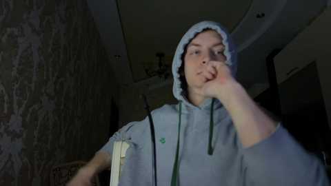 Media: Video of a young man in a grey hoodie with white lining, standing indoors. The background features a dimly lit room with patterned wallpaper and a chandelier.