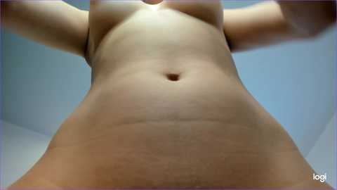 Media: A low-angle video of a nude, light-skinned woman's torso, showing her navel, small breasts, and a hint of pubic hair, set against a blue sky background.