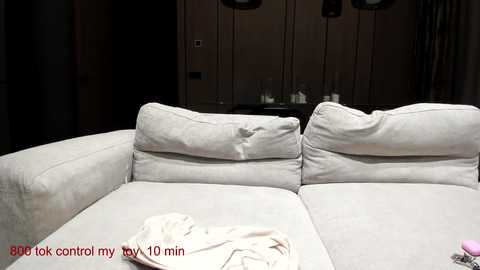 Media: Video of a modern, dimly-lit living room featuring a beige sectional sofa with worn cushions, a white blanket, and three black pendant lights. The background showcases dark wooden paneling and a blurred window.