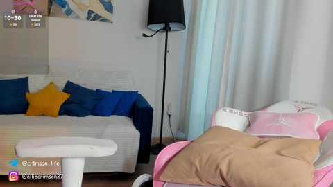 Media: Video of a modern bedroom with a white bed, blue and yellow pillows, beige blanket, and a black floor lamp; a pink stroller and a white ottoman are visible.