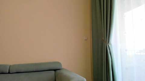 Media: Video of a modern living room corner with a light blue leather sofa against a pale yellow wall, adjacent to a window with sheer white curtains and teal drapes.