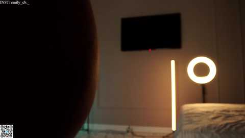 Media: Video of a dimly lit bedroom with a black TV mounted on a beige wall, a round LED light on a tall stand, and a partially visible person in the foreground.