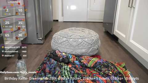 Media: Video of a modern kitchen with a gray rug and colorful throw blanket on the floor. Stainless steel fridge and white cabinets in the background.