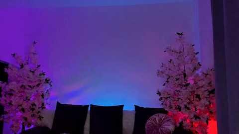 Media: Video of a festive room with a purple and blue light backdrop. Two black curtains hang on the left and right, with white artificial trees adorned with red ornaments in the middle.