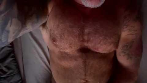 Media: Video of a shirtless, muscular man with a hairy chest and tattoos. He has light skin and a beard. The background shows a bed with white sheets.