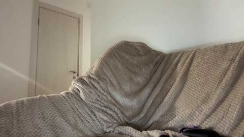 Media: A video of a beige, textured sofa covered in a light gray, patterned blanket, with a white door in the background, creating a cozy, minimalistic room setting.