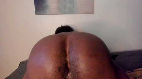 Media: A close-up video of a nude, dark-skinned person's buttocks and genital area, positioned on a grey couch, with a blurred abstract painting in the background.