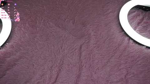 w0wgirls free recording from 2024-11-24 09:34:00