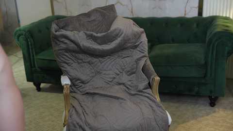 Media: Video of a plush, green velvet armchair covered in a large, brown quilt. Background features a vintage, upholstered sofa and a beige carpet. The scene suggests a cozy, lived-in room.