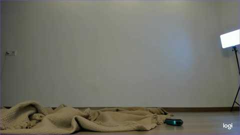 Media: A video depicts an empty, dimly lit room with a beige quilt on the floor, a blue object near it, and a bright light source in the corner.