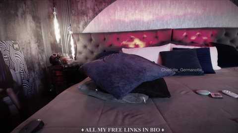 Media: A video of a dimly lit bedroom featuring a bed with a tufted headboard, covered in a gray duvet and pillows. The walls are textured, and a zebra-patterned chair and a lamp are visible in the background.