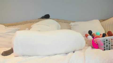 Media: Video of a plush white teddy bear and a pink teddy bear sitting on a neatly made bed with white pillows and a beige headboard, surrounded by colorful makeup brushes in a polka-dotted case.