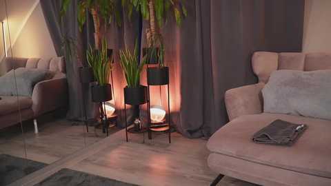 Media: Video of a modern living room with a beige sectional, potted plants, black metal side tables, and a warm glow from floor lamps.