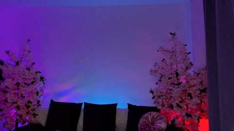 Media: A video of an indoor space with purple and blue lighting, featuring two black chairs, a white Christmas tree, and a red candle, creating a cozy, festive atmosphere.