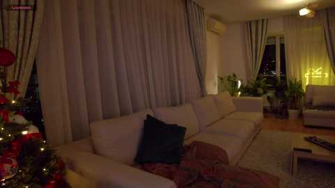 Media: Video of a dimly lit living room with beige couches, green cushions, and a Christmas tree adorned with red ornaments. Curtains cover the windows, and a potted plant sits near the window.