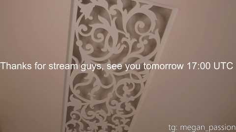 Media: Video of a white, ornate, wall-mounted screen with intricate floral patterns. Text overlay: \"Thanks for stream guys, see you tomorrow 17:00 UTC. to a mean passion.\