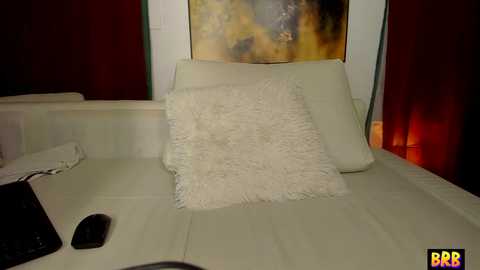 Media: A video of a modern bedroom with a cream-colored bed adorned with a fluffy white pillow and a black remote control. The background features a maroon curtain and an abstract painting.