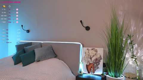 Media: Video of a modern bedroom with a beige headboard, grey bedding, teal pillows, a mounted wall sconce, a potted plant, and a framed artwork.