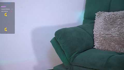 Media: Video of a green armchair with a textured beige pillow, placed against a plain white wall. The chair's upholstery appears soft and cozy, with a slight shadow indicating a dimly lit room.