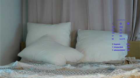 Media: Video of a neatly made bed with white pillows and a patterned blanket. Background features beige curtains and a text overlay with blue font.