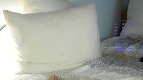 Media: A video of a bed with a white pillow and a white and beige knitted blanket. The background shows a pale blue wall and a wooden headboard.