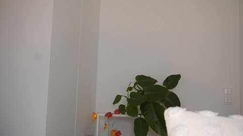 Media: Video of a minimalist, modern bedroom corner with a white wall, a lush green plant on a white shelf, and a white bed with fluffy pillows in the background.