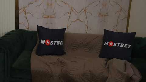 Media: Video of a beige couch with two dark blue pillows featuring white \"MST3K\" logos and a beige blanket. Background shows a marbled wallpaper with wooden frames.