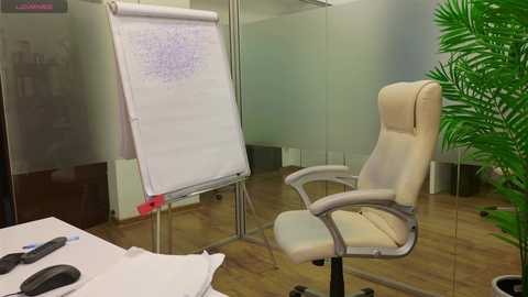 Media: Video of a modern conference room with a whiteboard, beige ergonomic chair, glass walls, wooden floor, and a potted plant.