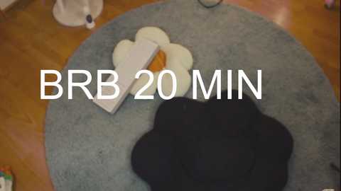 Media: Video of a soft, grey circular rug with a white felt egg and a black felt cloud on it. Text overlay reads \"BRB 20 MIN.\