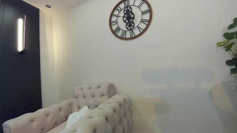 Media: Video of a modern living room with beige tufted sofa, white wall, round clock with Roman numerals, and large green potted plant in the background.