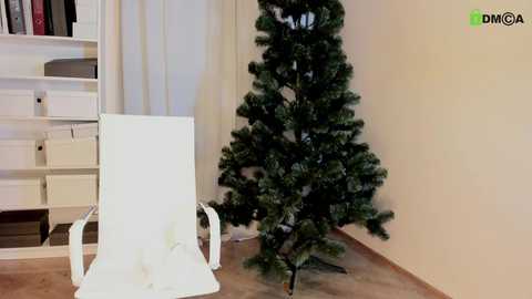 Media: A video of a room with a white chair, beige carpet, and a small fake Christmas tree placed against a cream-colored wall.