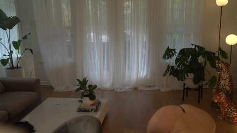 Media: Video of a cozy, dimly-lit living room with large windows draped in sheer white curtains, light hardwood floors, a plush gray sofa, a round beige ottoman, and potted plants.