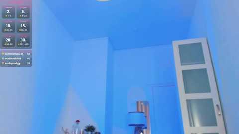 Media: A video of a dimly lit, blue-tinted room with a closed white door on the right, a light fixture on the left, and a small table with a few items in the foreground.