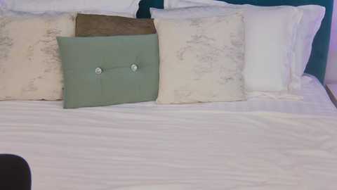 Media: Video of a neatly made bed with white sheets, a light blue pillow, and a green pillow with silver buttons. The headboard is partially visible, painted in a soft teal.