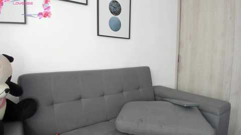 Media: A video of a minimalist living room with a gray sectional sofa, beige curtain, framed art on white wall, and a stuffed panda toy on the floor.