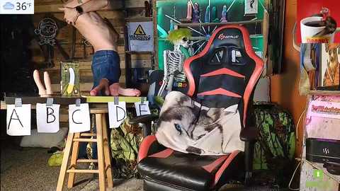 Media: Video of a cluttered room with a shirtless man on a wooden table, a gaming chair with a camouflage blanket, and a skull decoration on a shelf.