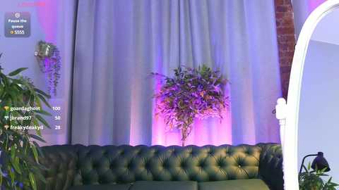 Media: Video of a modern, dimly lit room with a green, tufted leather couch, purple-lit potted fern, and a white-framed mirror.