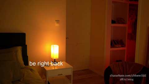 Media: Video of a dimly-lit bedroom with a bedside lamp emitting a warm glow, a dark headboard, and a partially open closet revealing hanging clothes and a red light.