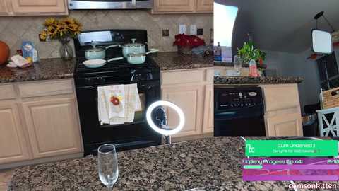 Media: Video of a kitchen with light wooden cabinets, black appliances, granite countertops, a circular light, and a vase of sunflowers on a stove.