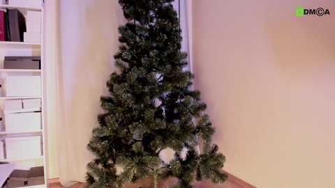 Media: A video of a decorated Christmas tree in a corner of a room with white walls and wooden floors. The tree is artificial, green, and has a star on top. Shelves with boxes and books are visible on the left.