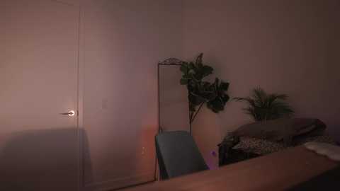 Media: A dimly-lit video of a simple room with a closed white door, a potted plant, a blue chair, and a messy bed.