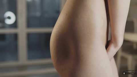 Media: A video of a pregnant woman's side profile, showing her full belly, arms crossed, in a softly lit room with a large window behind her.