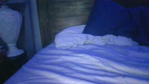 Media: Video of a dimly lit bedroom with a white bed, white sheets, and a dark blue pillow, featuring a beige wooden headboard. A white, ornate lamp stands on the nightstand.