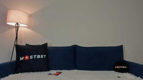 Media: Video of a modern living room featuring a dark blue sofa with white cushions, a white shag rug, a white lamp with a cylindrical shade, and a black tote bag with white text.